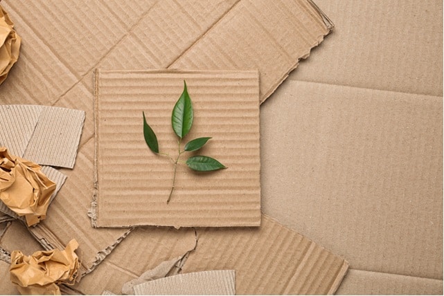 Creating a ‘green by default’ agenda for packaging